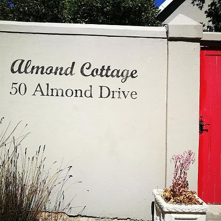 Almond Cottage Bed & Breakfast Somerset West Eksteriør billede