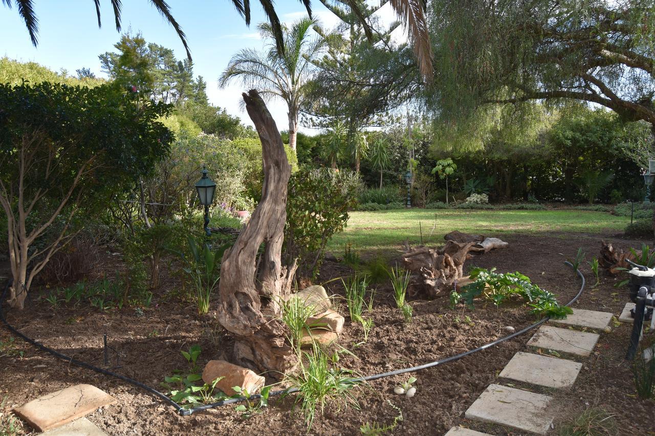 Almond Cottage Bed & Breakfast Somerset West Eksteriør billede