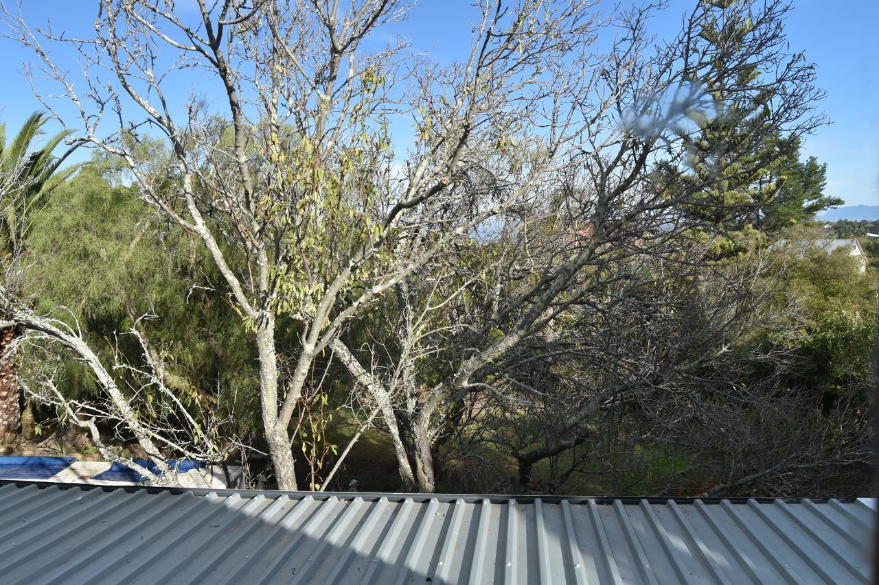 Almond Cottage Bed & Breakfast Somerset West Eksteriør billede