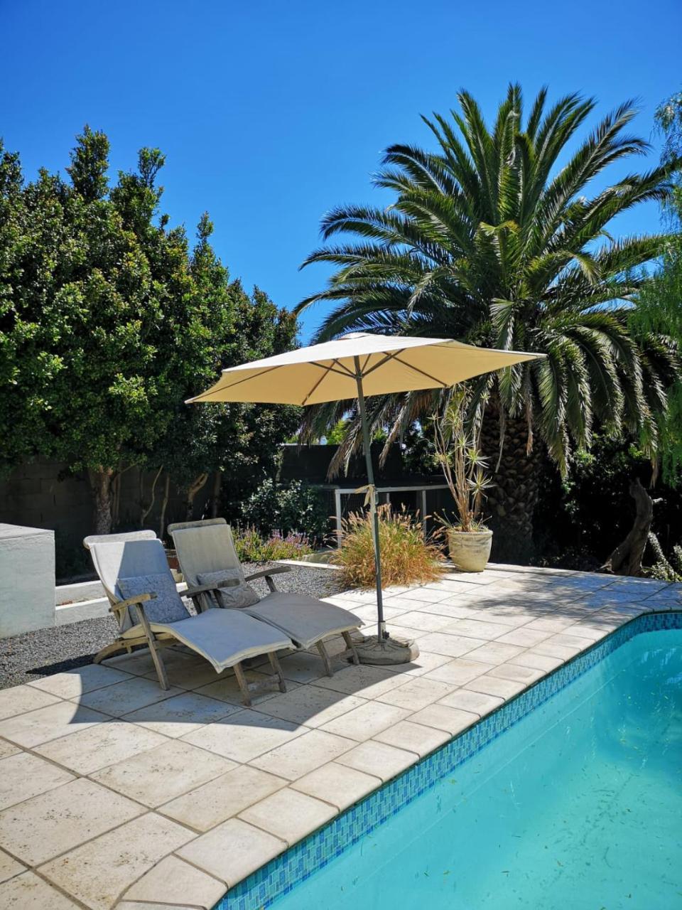 Almond Cottage Bed & Breakfast Somerset West Eksteriør billede