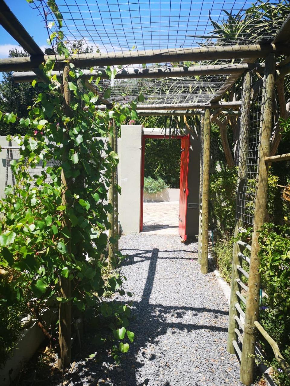 Almond Cottage Bed & Breakfast Somerset West Eksteriør billede